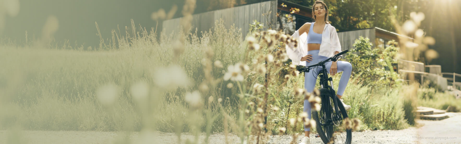 home banner image